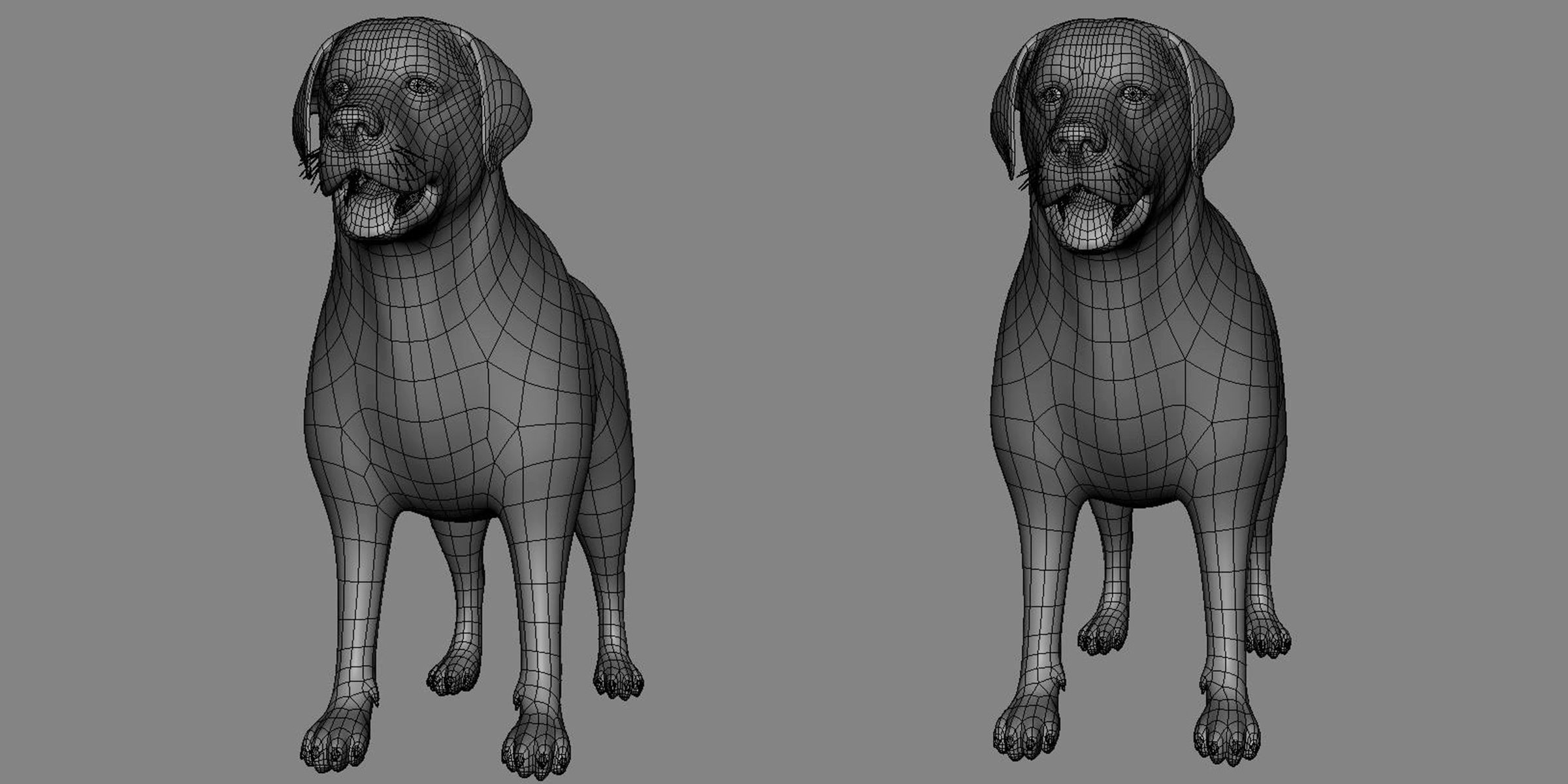 19 Domestic Animal Collection _46