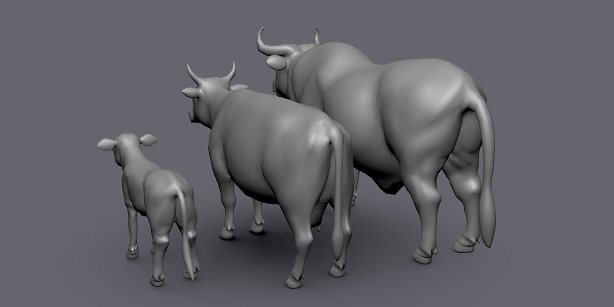 19 Domestic Animal Collection _31