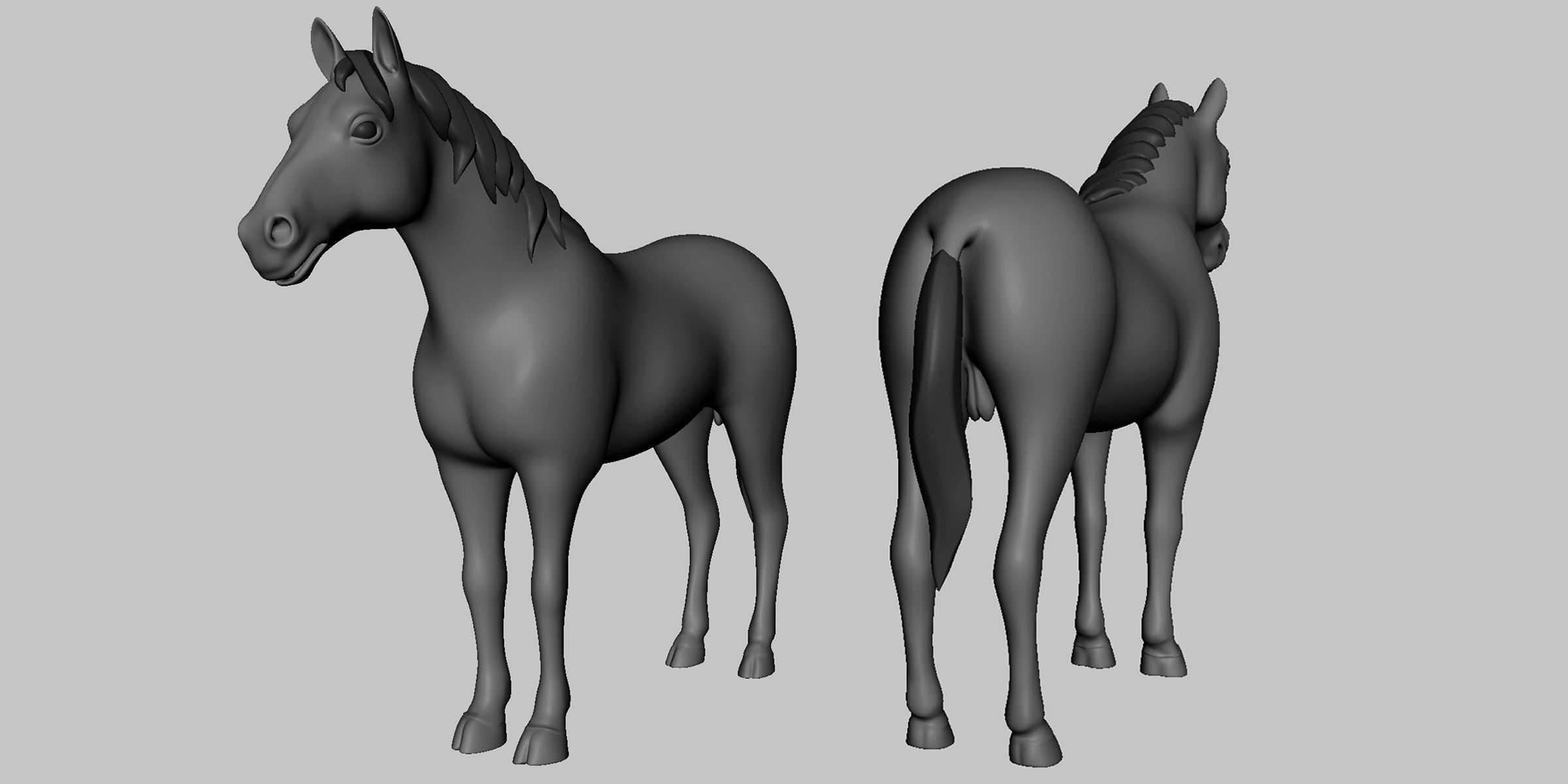 19 Domestic Animal Collection _19