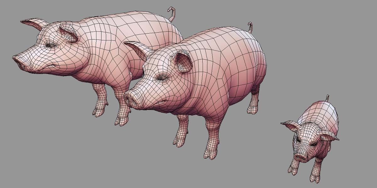 19 Domestic Animal Collection _33