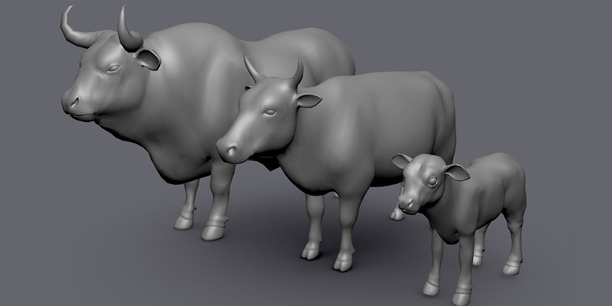 19 Domestic Animal Collection _30