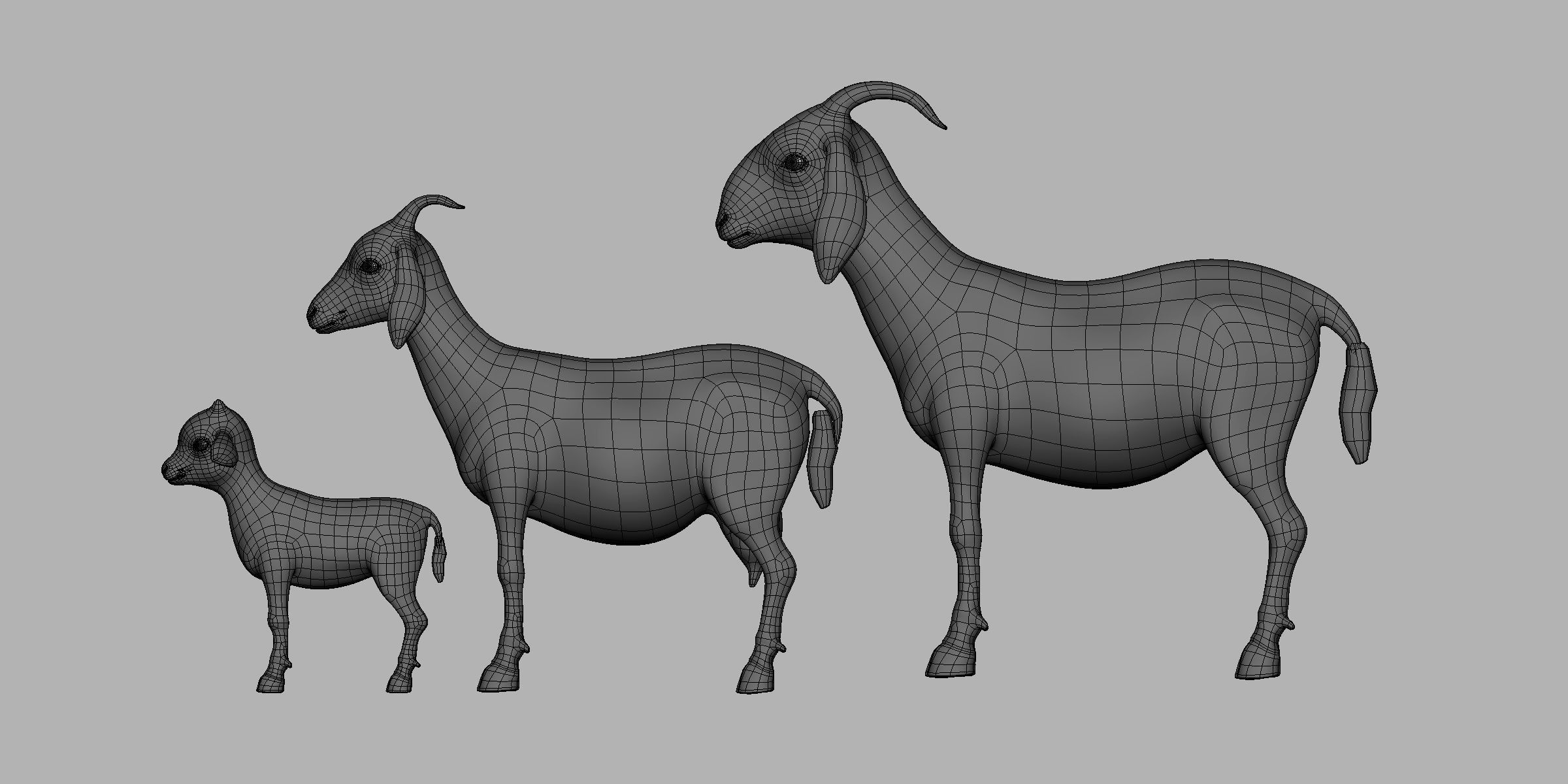 19 Domestic Animal Collection _41