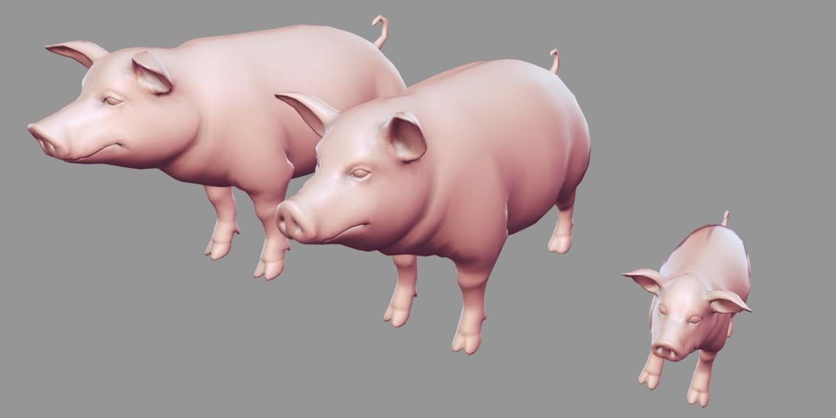 19 Domestic Animal Collection _34