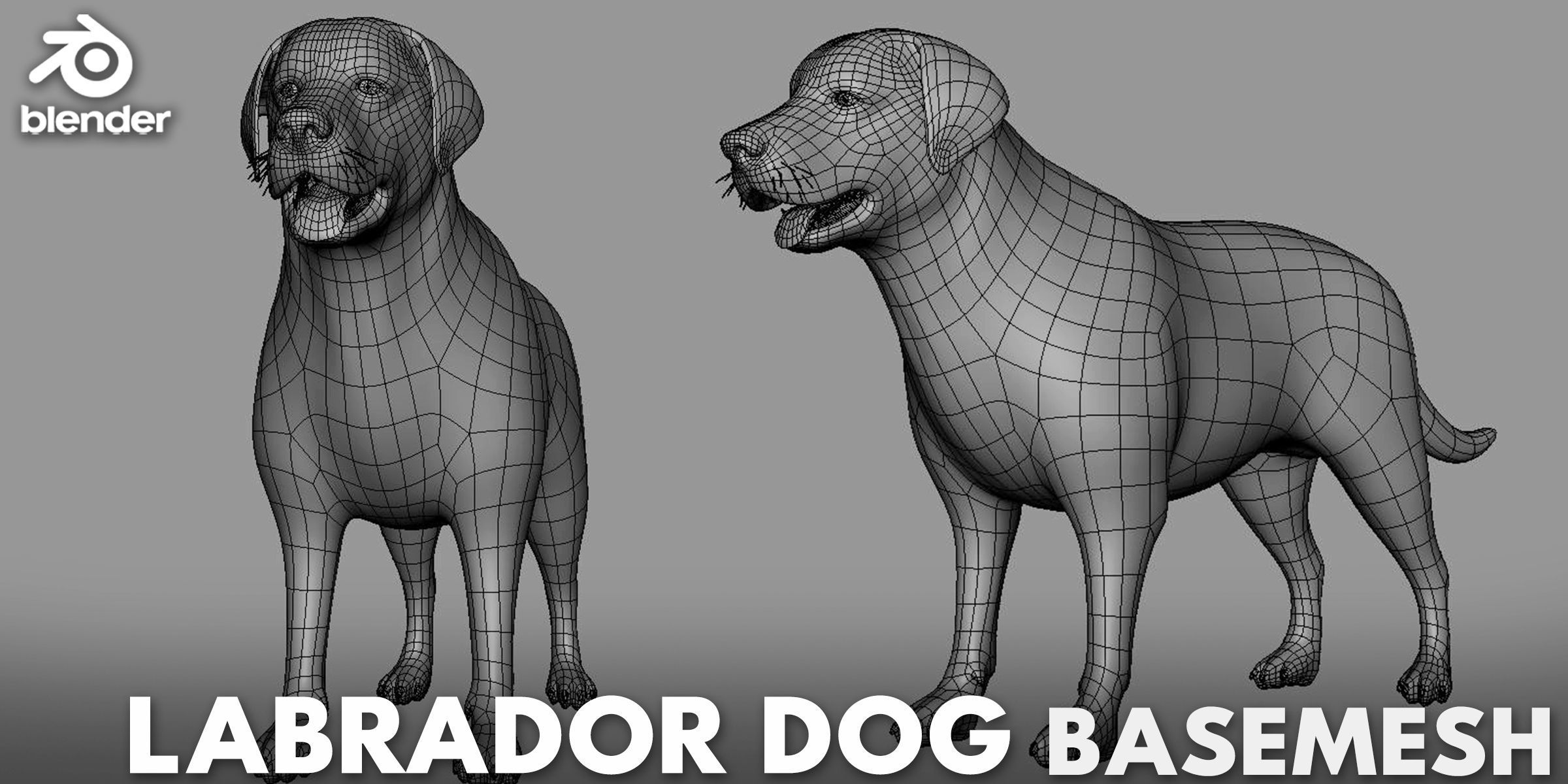 19 Domestic Animal Collection _11