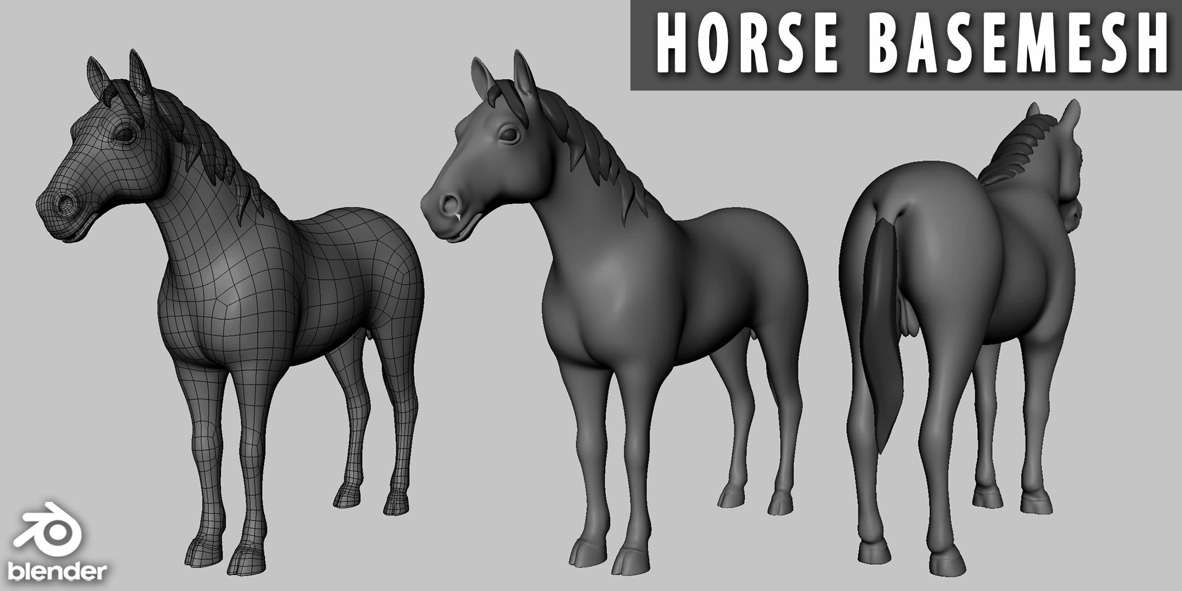 19 Domestic Animal Collection _6