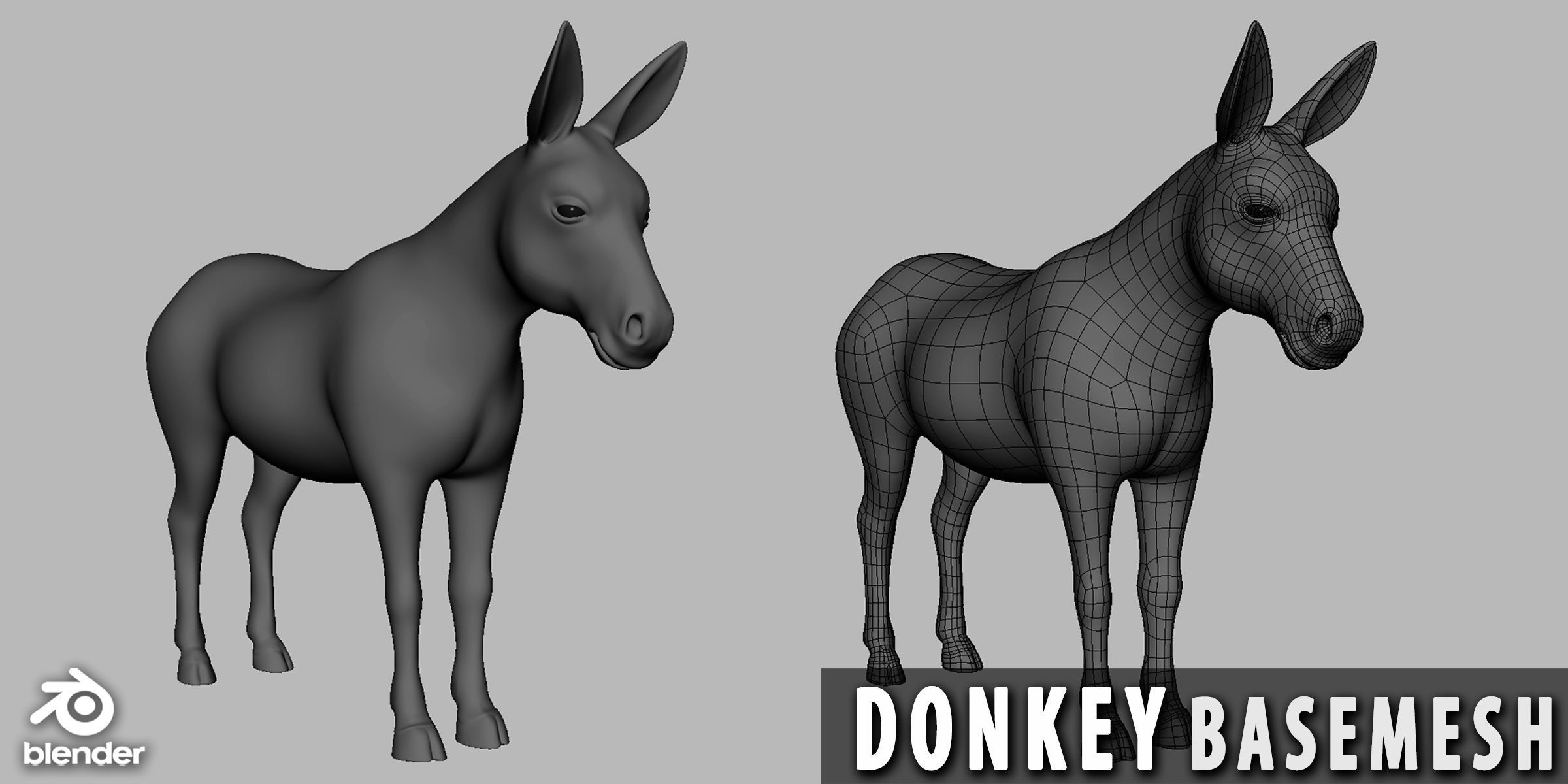 19 Domestic Animal Collection _7