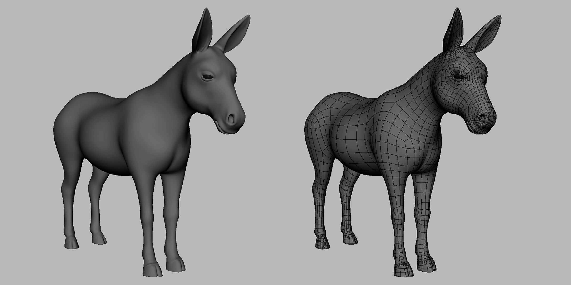 19 Domestic Animal Collection _23