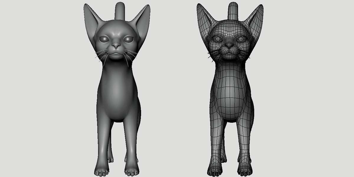 19 Domestic Animal Collection _51