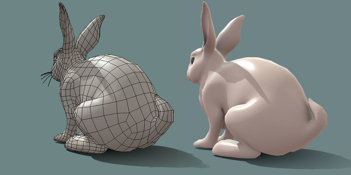 19 Domestic Animal Collection _59