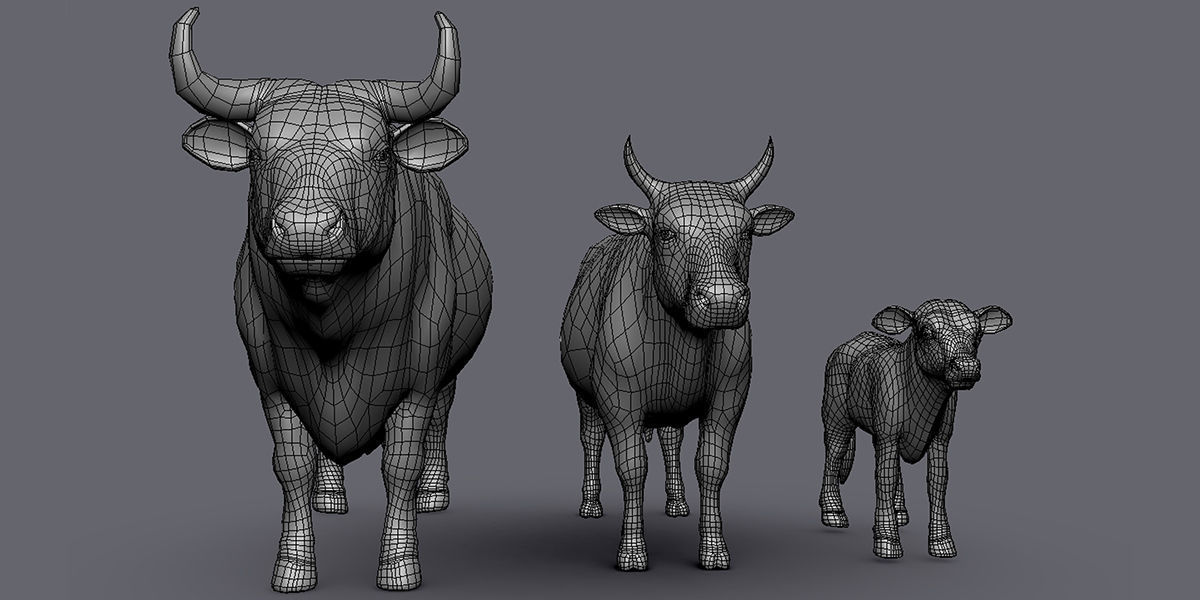 19 Domestic Animal Collection _28