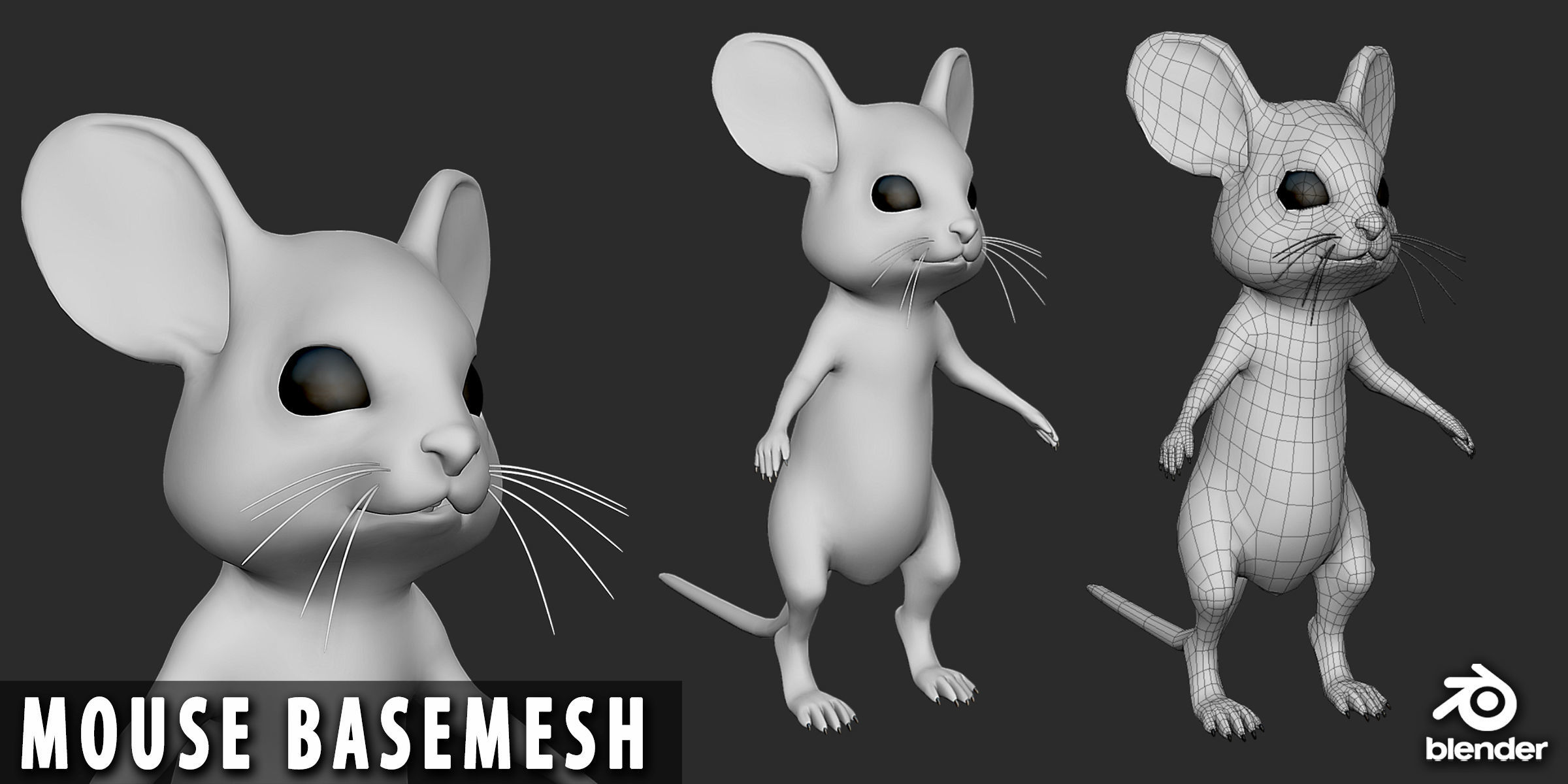 19 Domestic Animal Collection _16