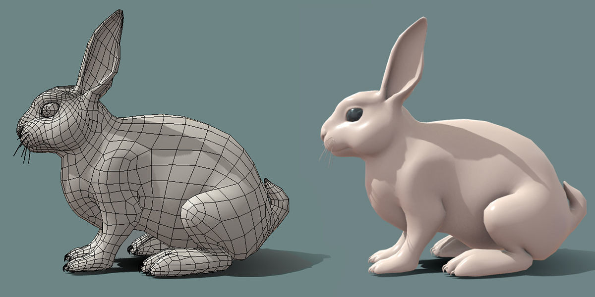 19 Domestic Animal Collection _58