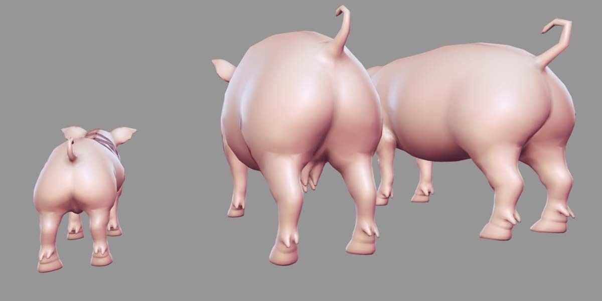 19 Domestic Animal Collection _36