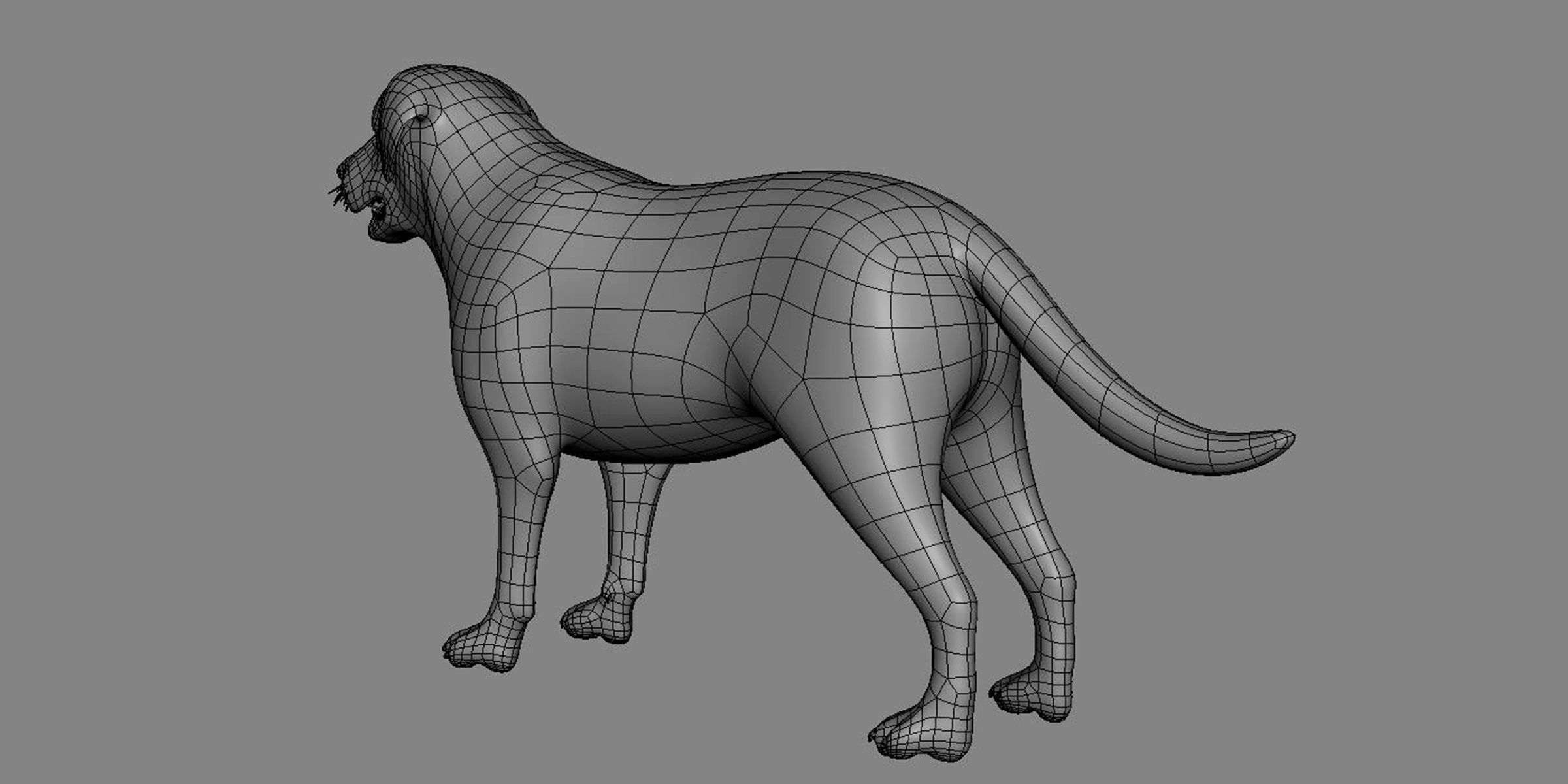 19 Domestic Animal Collection _45