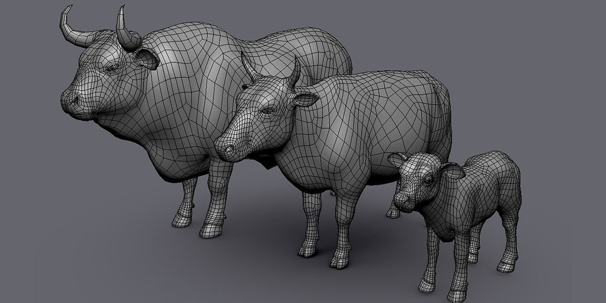 19 Domestic Animal Collection _29