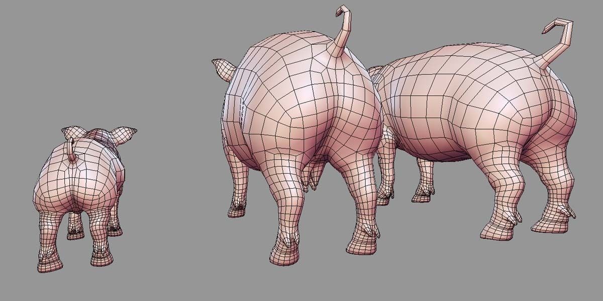 19 Domestic Animal Collection _35