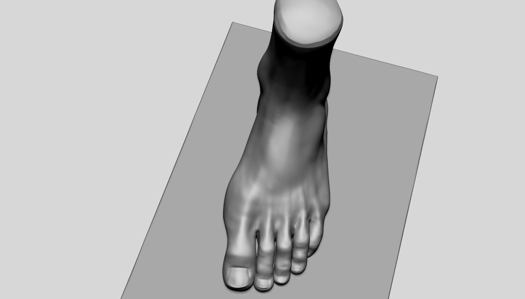 Foot A 3D model_9