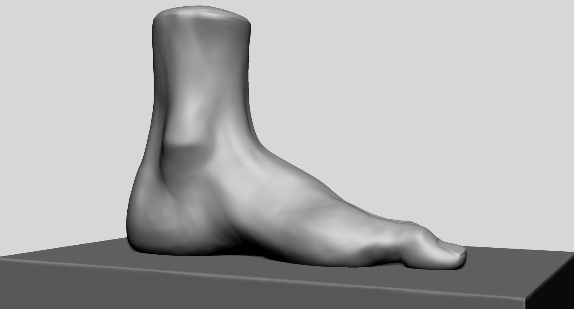 Foot A 3D model_3