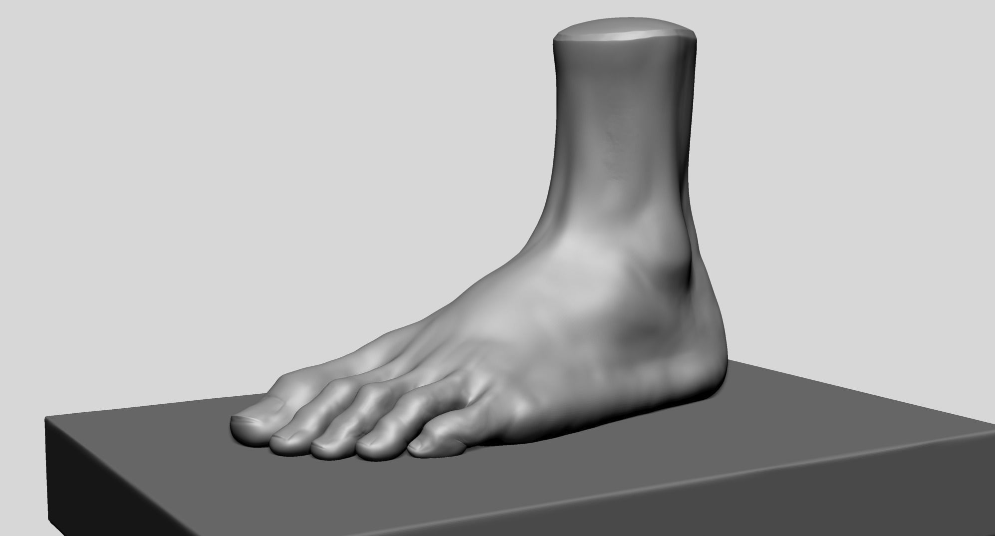 Foot A 3D model_1