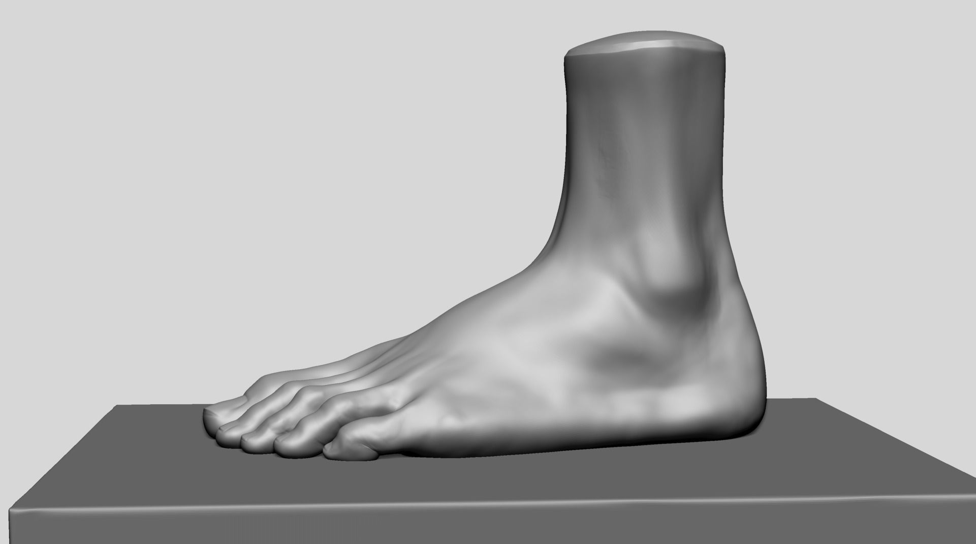 Foot A 3D model_7
