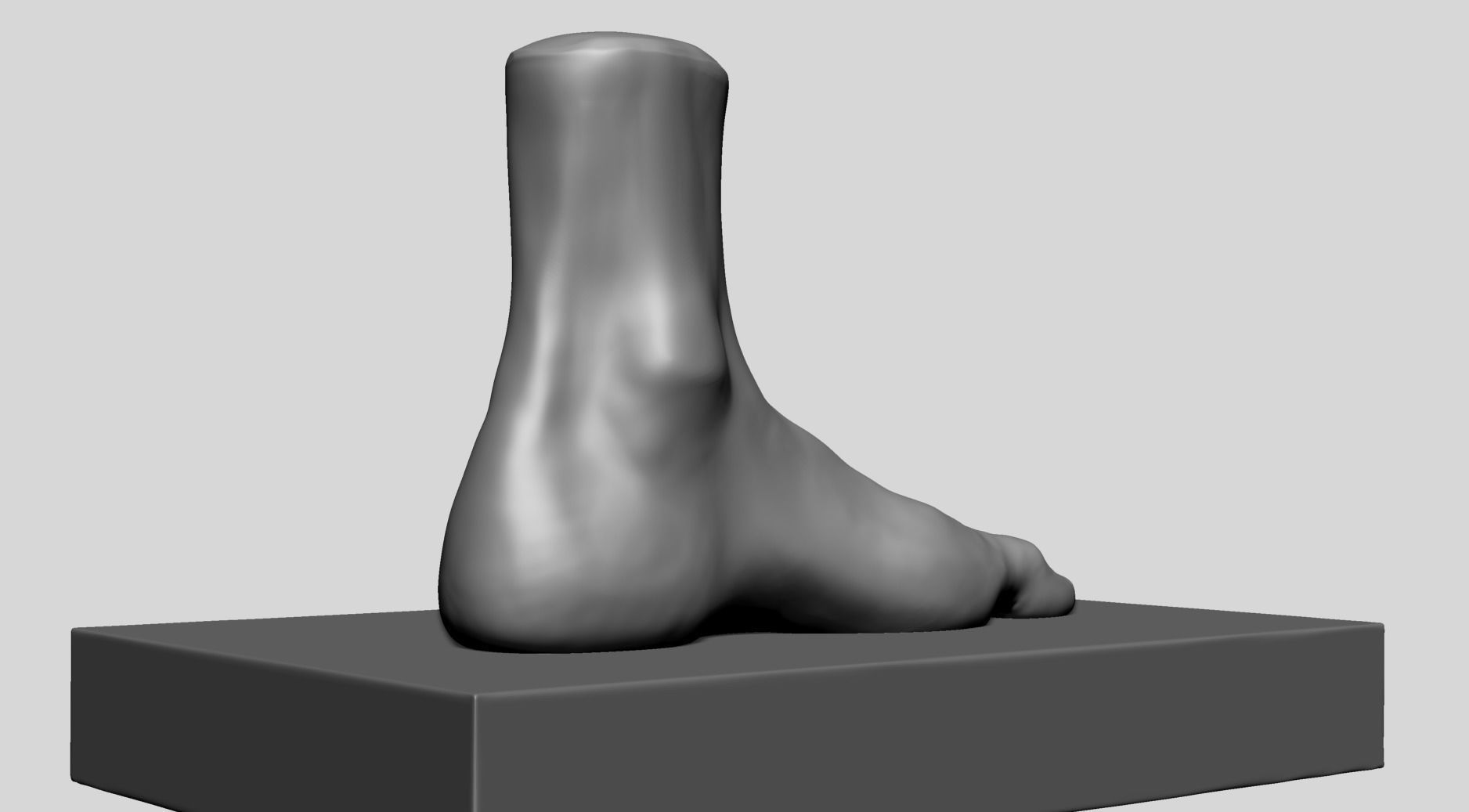 Foot A 3D model_5