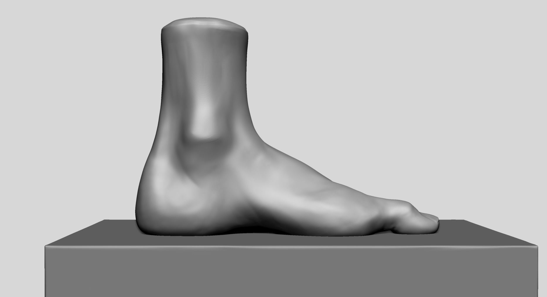 Foot A 3D model_4