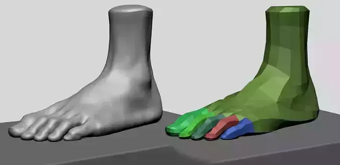 Foot A 3D model