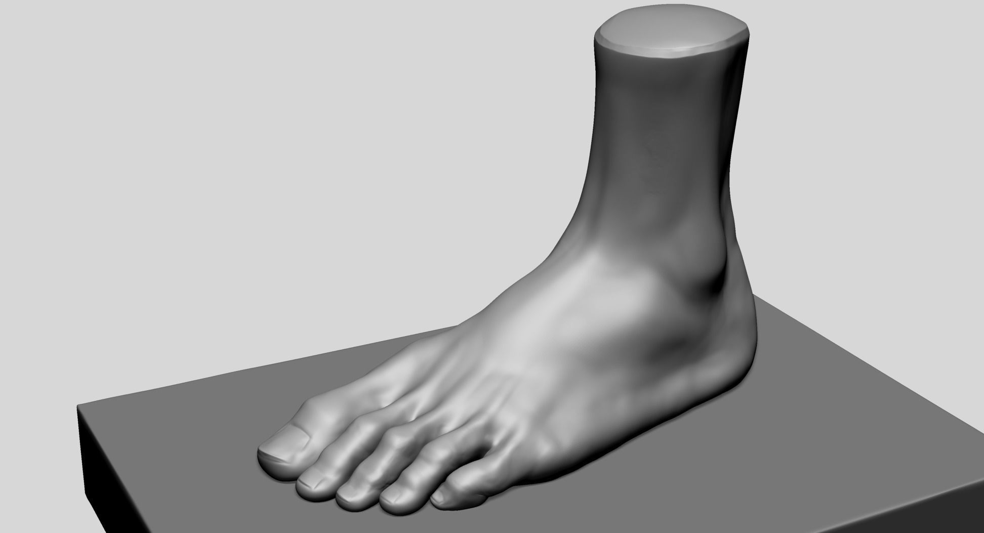 Foot A 3D model_8