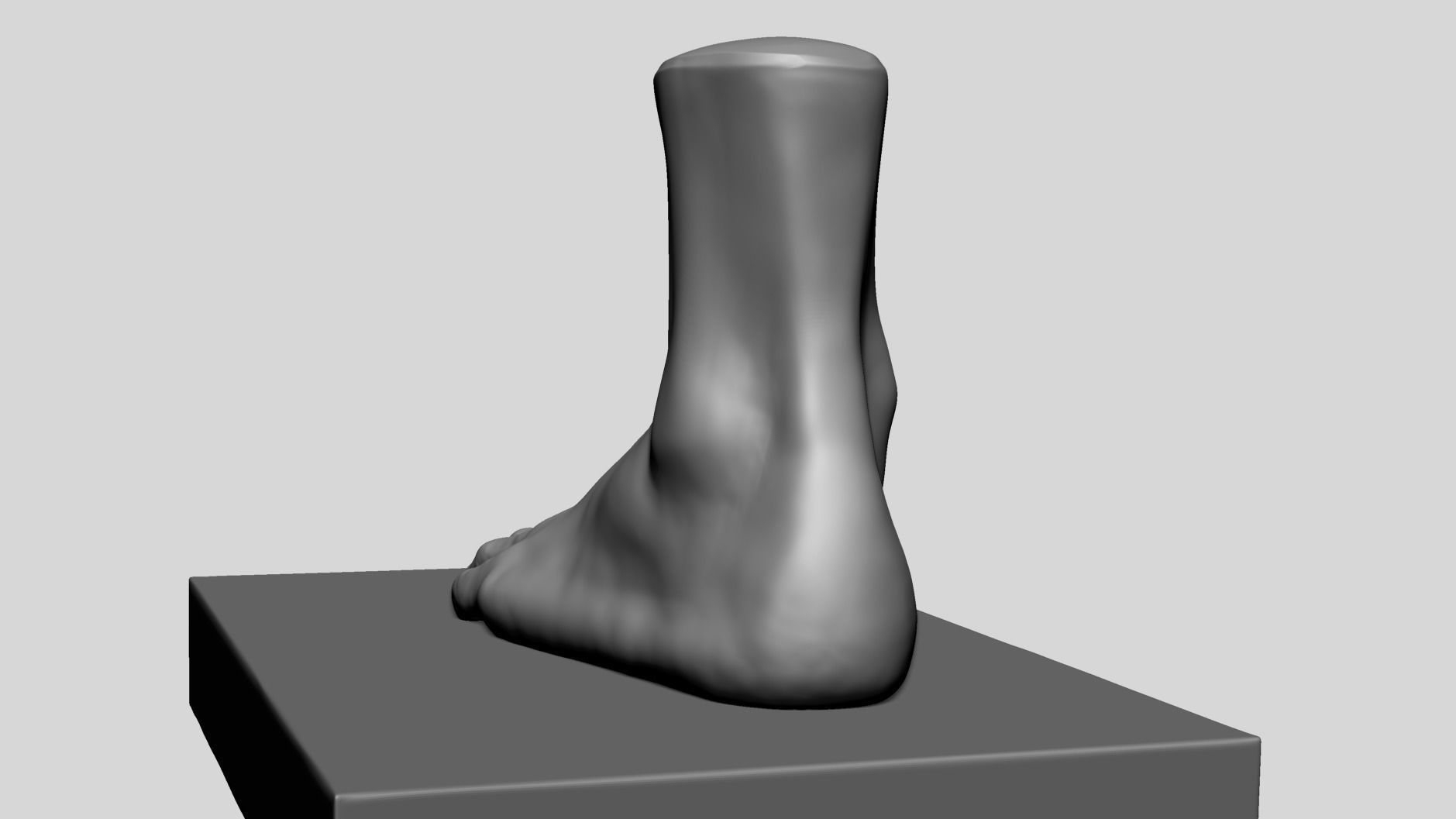 Foot A 3D model_6