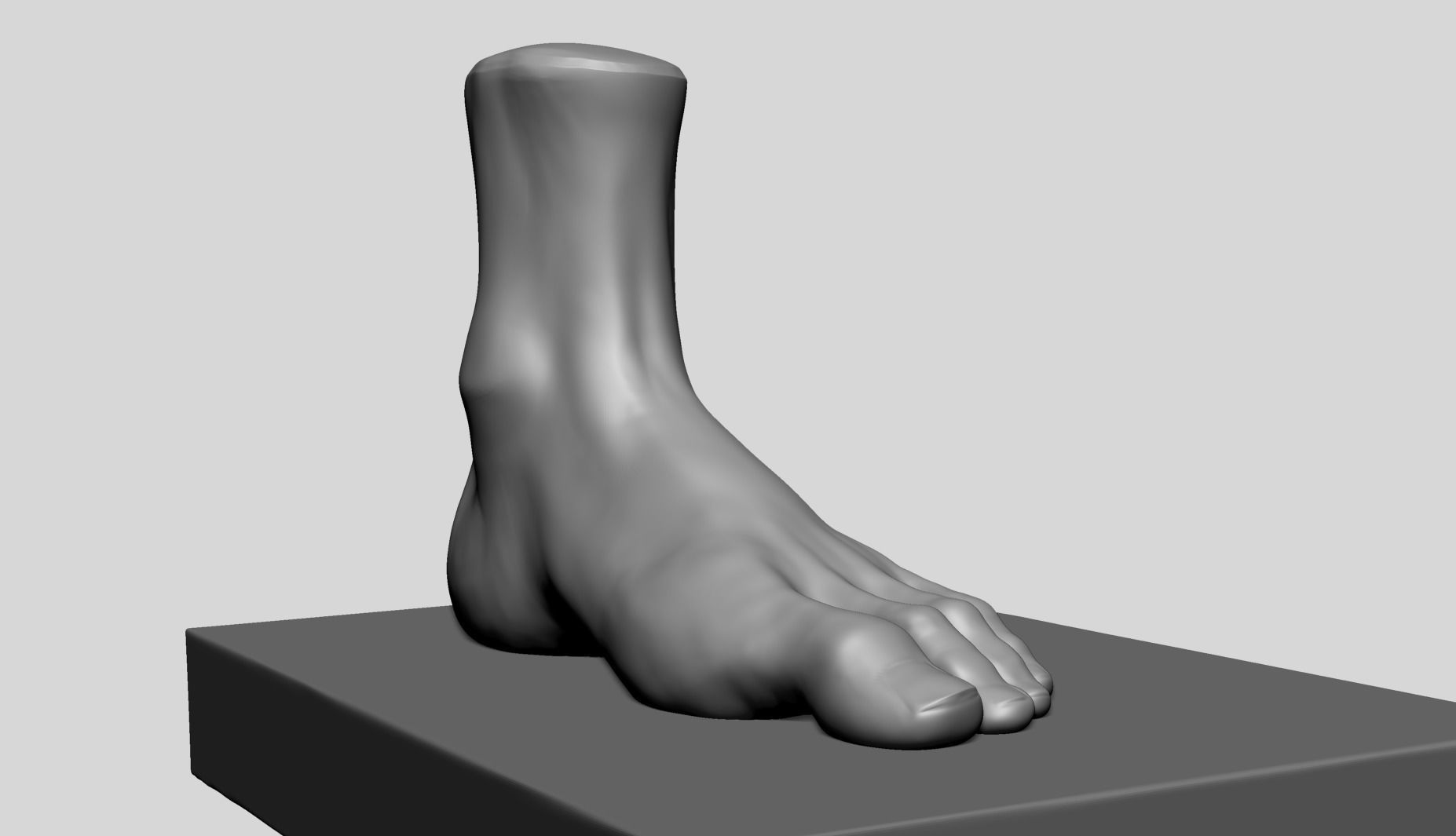Foot A 3D model_10