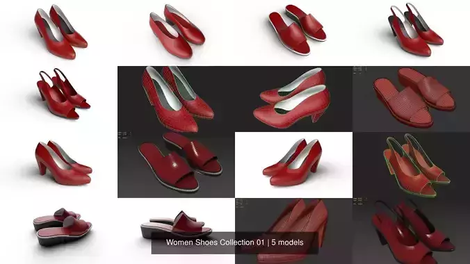 Women Shoes Collection 01