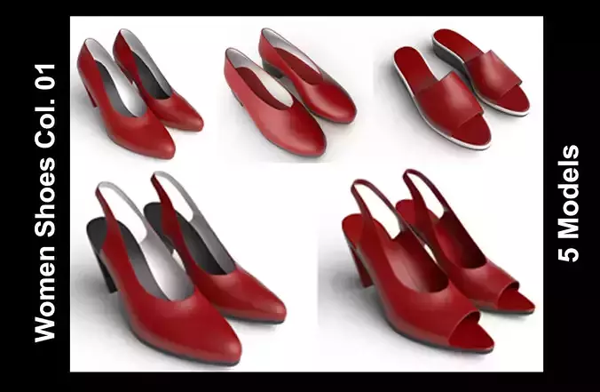 Women Shoes Collection 01 