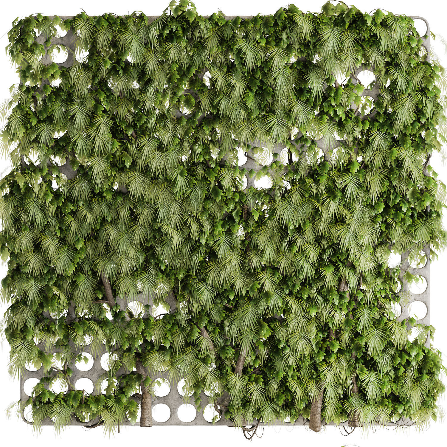vertical garden divider - mesh and ivy fence on 3D model_1