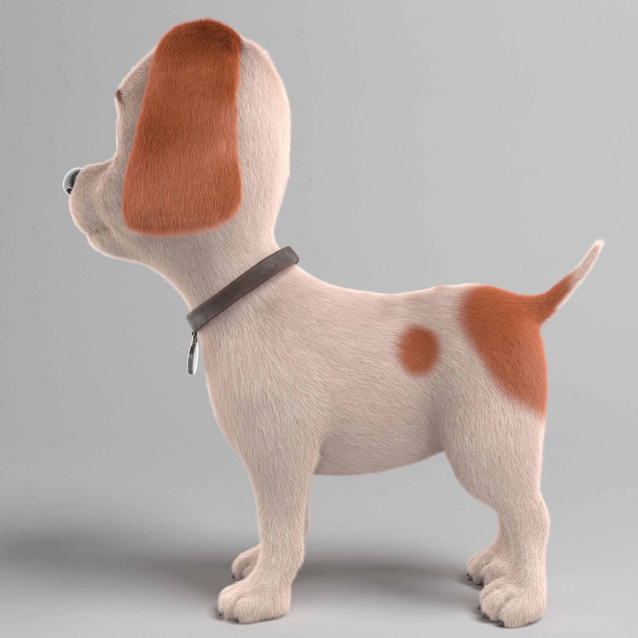 Ruby cartoon dog  Maya Rig  Low-poly 3D model_4