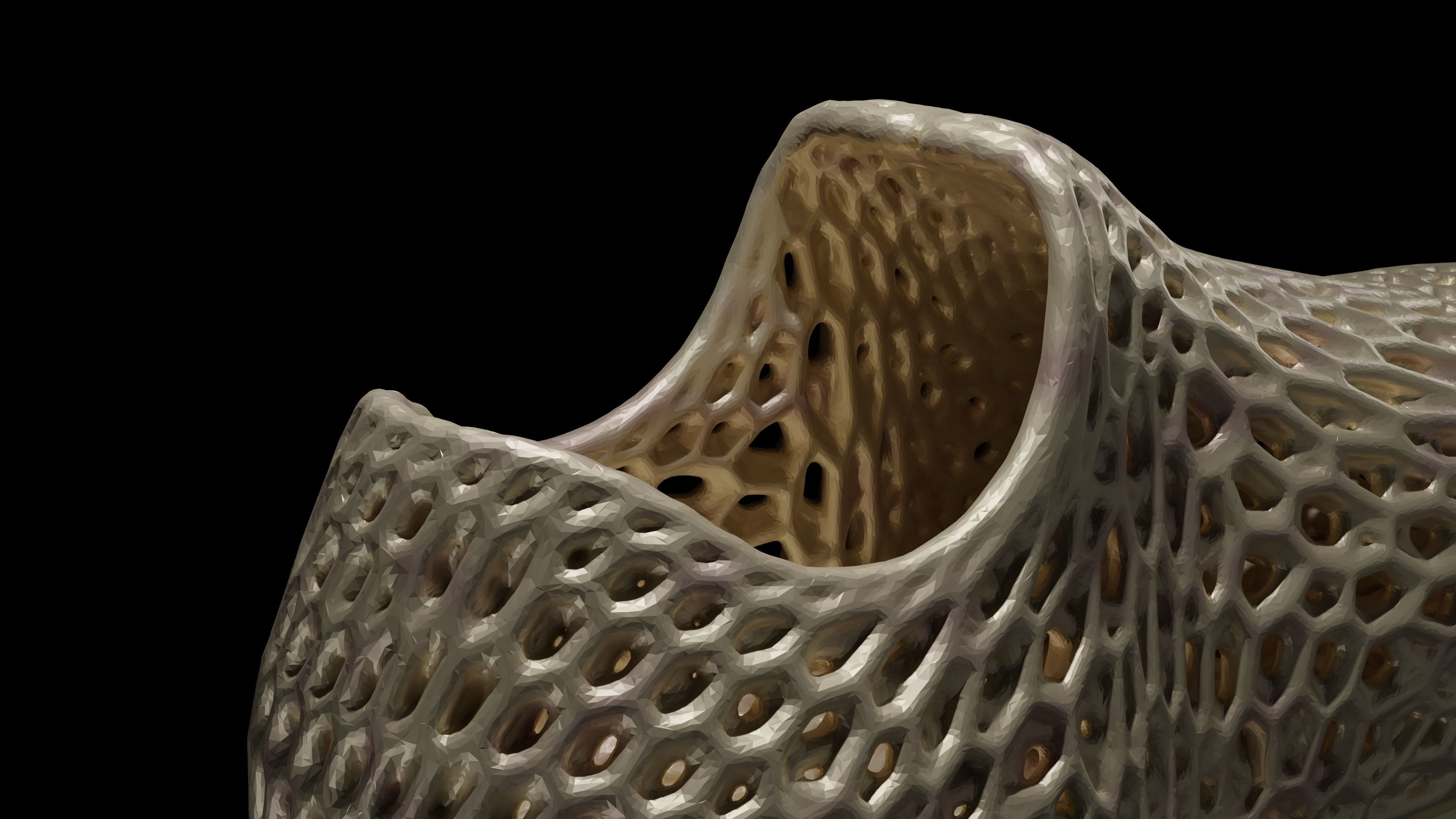 Wearable 3D print shoe 3D print model_5