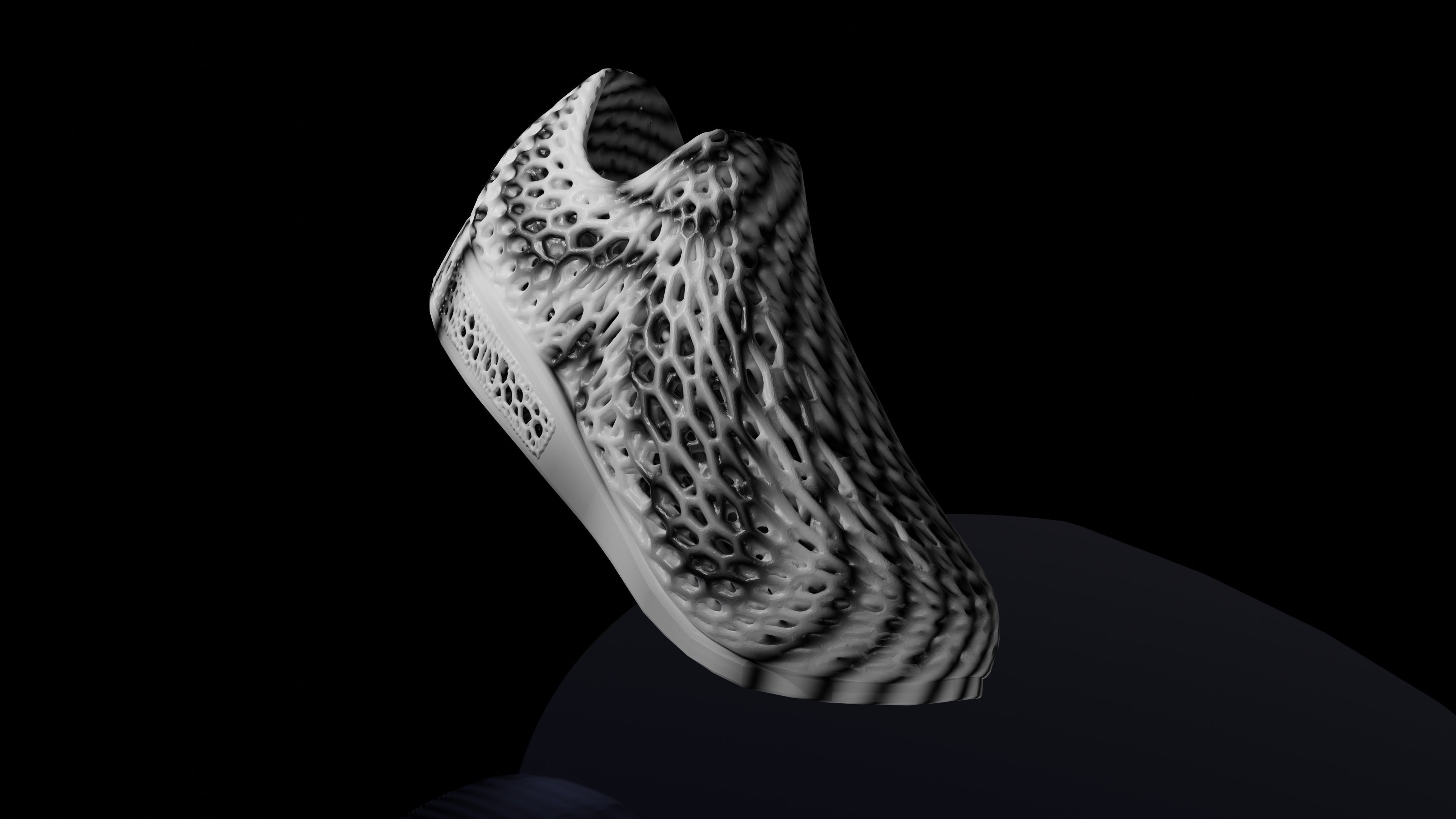 Wearable 3D print shoe 3D print model_1