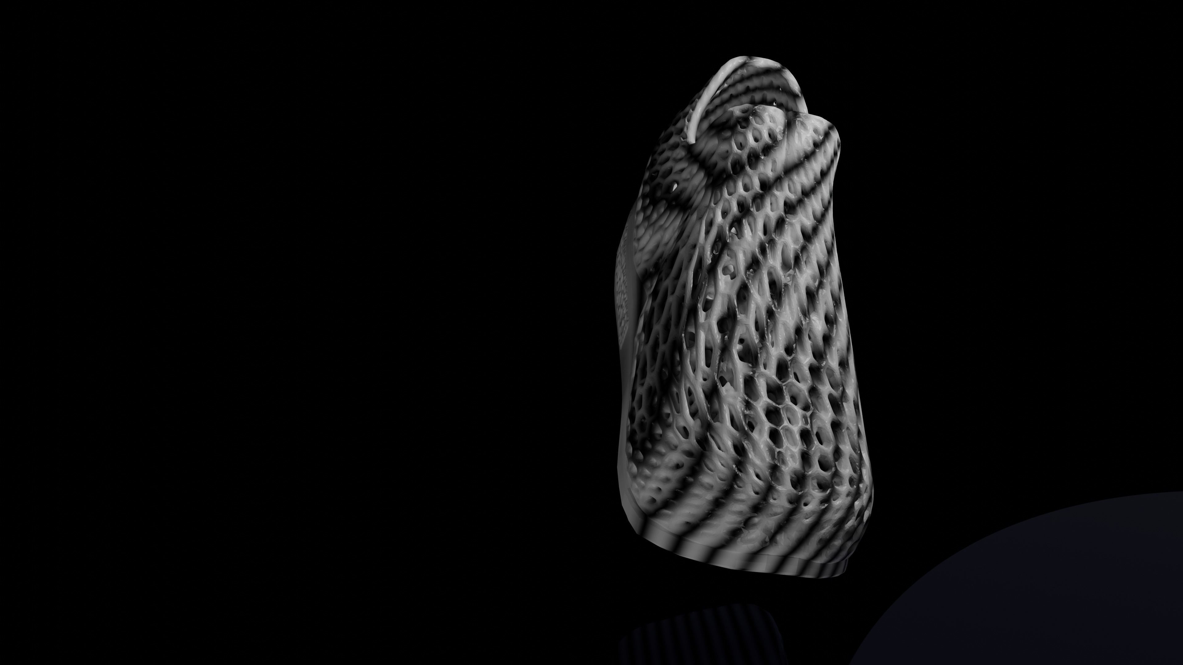 Wearable 3D print shoe 3D print model_2