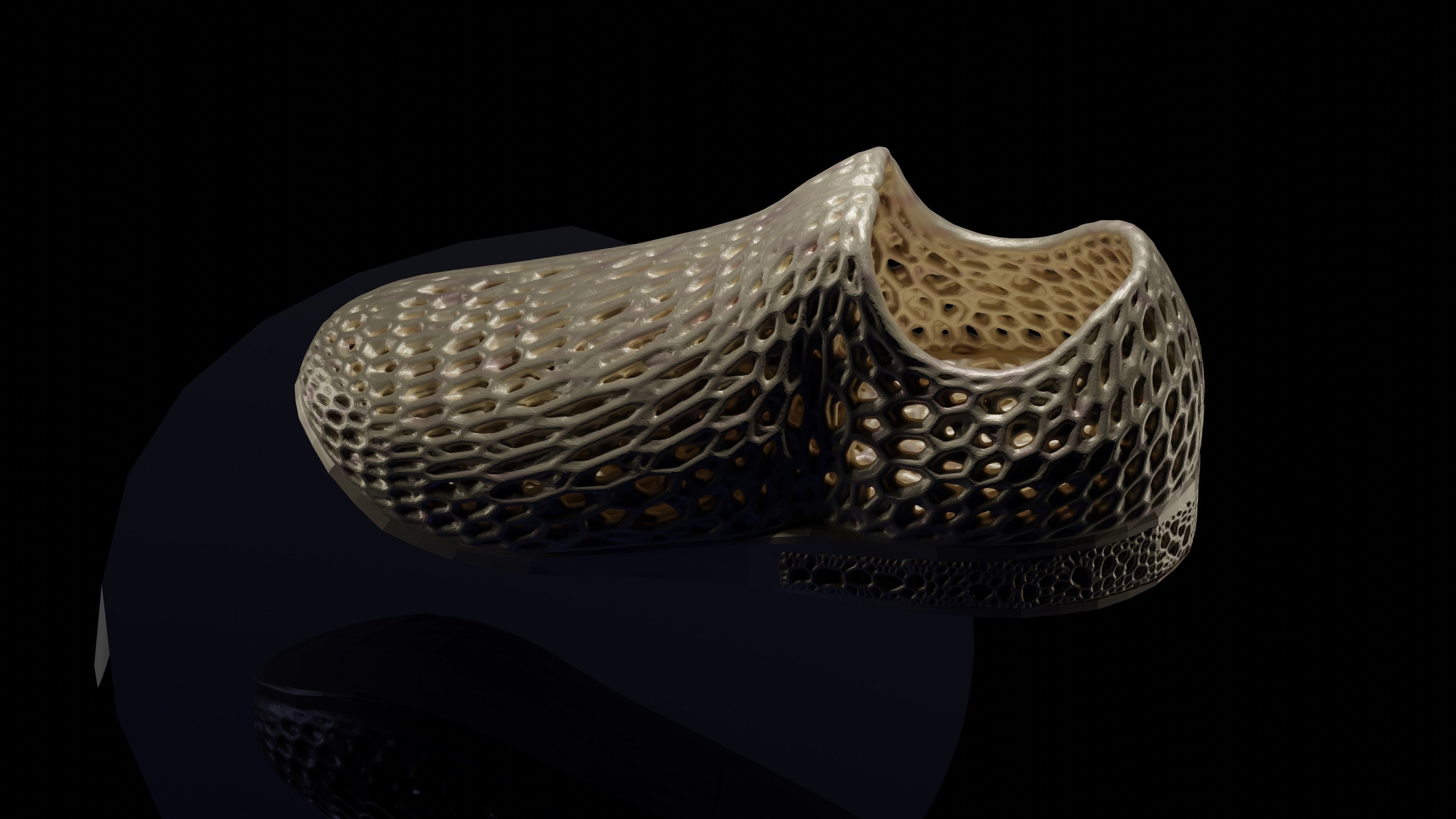Wearable 3D print shoe 3D print model_7