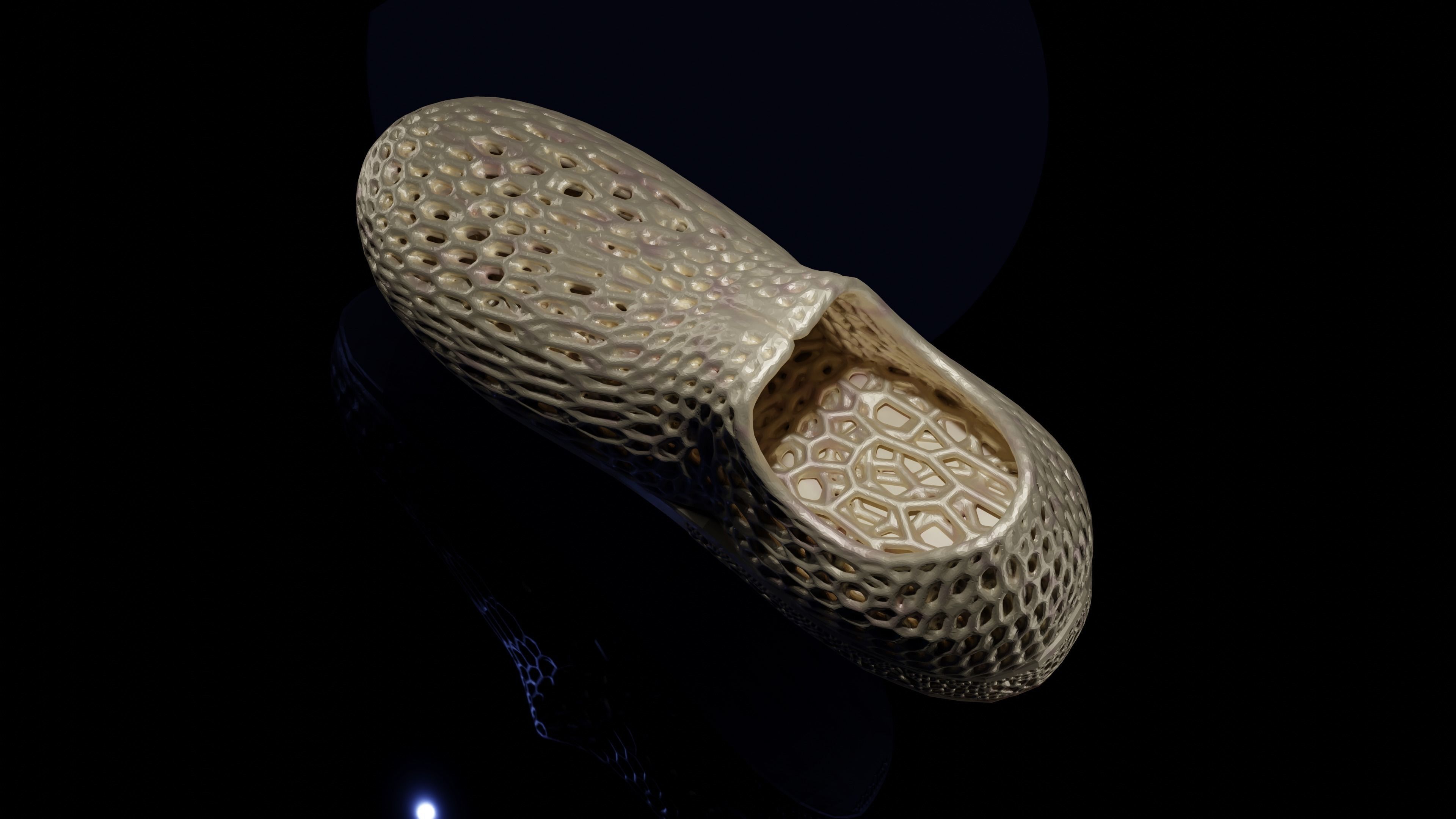 Wearable 3D print shoe 3D print model_6