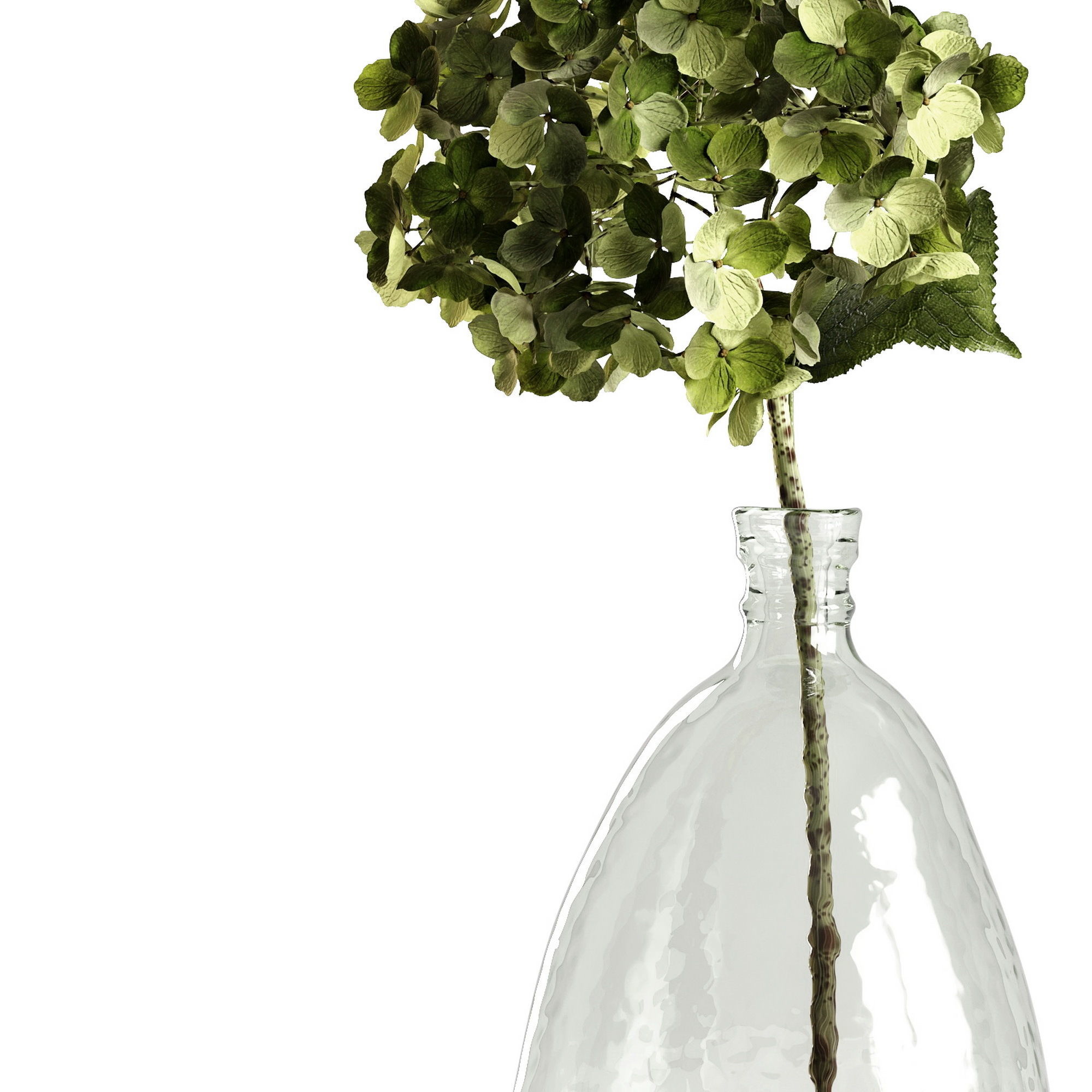 Springfield 3D model_3