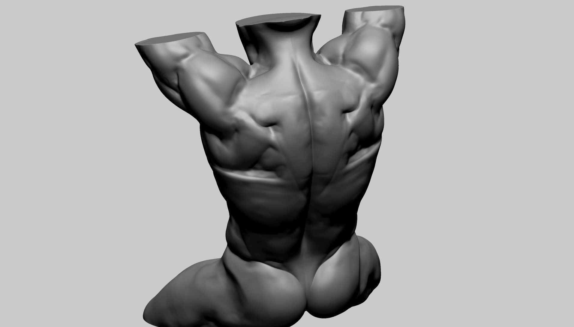 Male Torso D 3D model_5