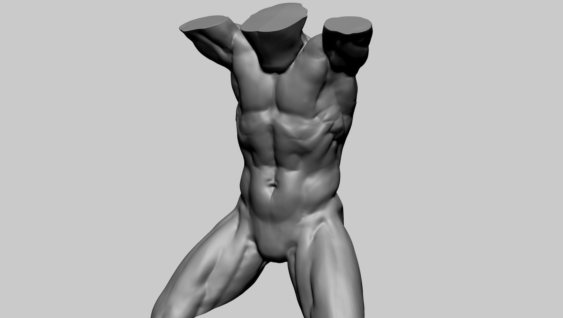 Male Torso D 3D model_6