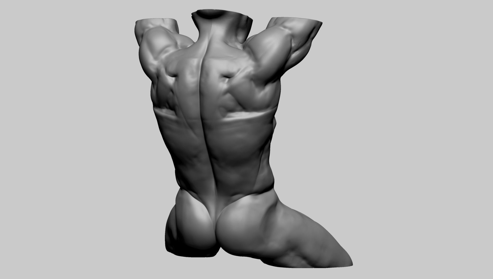 Male Torso D 3D model_3