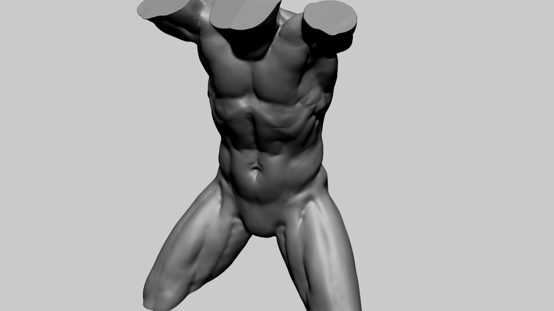 Male Torso D 3D model_8