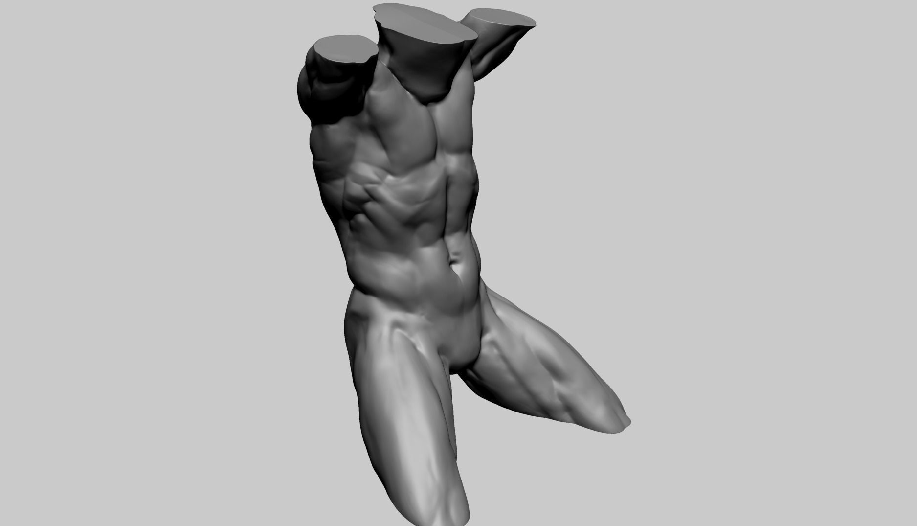 Male Torso D 3D model_2