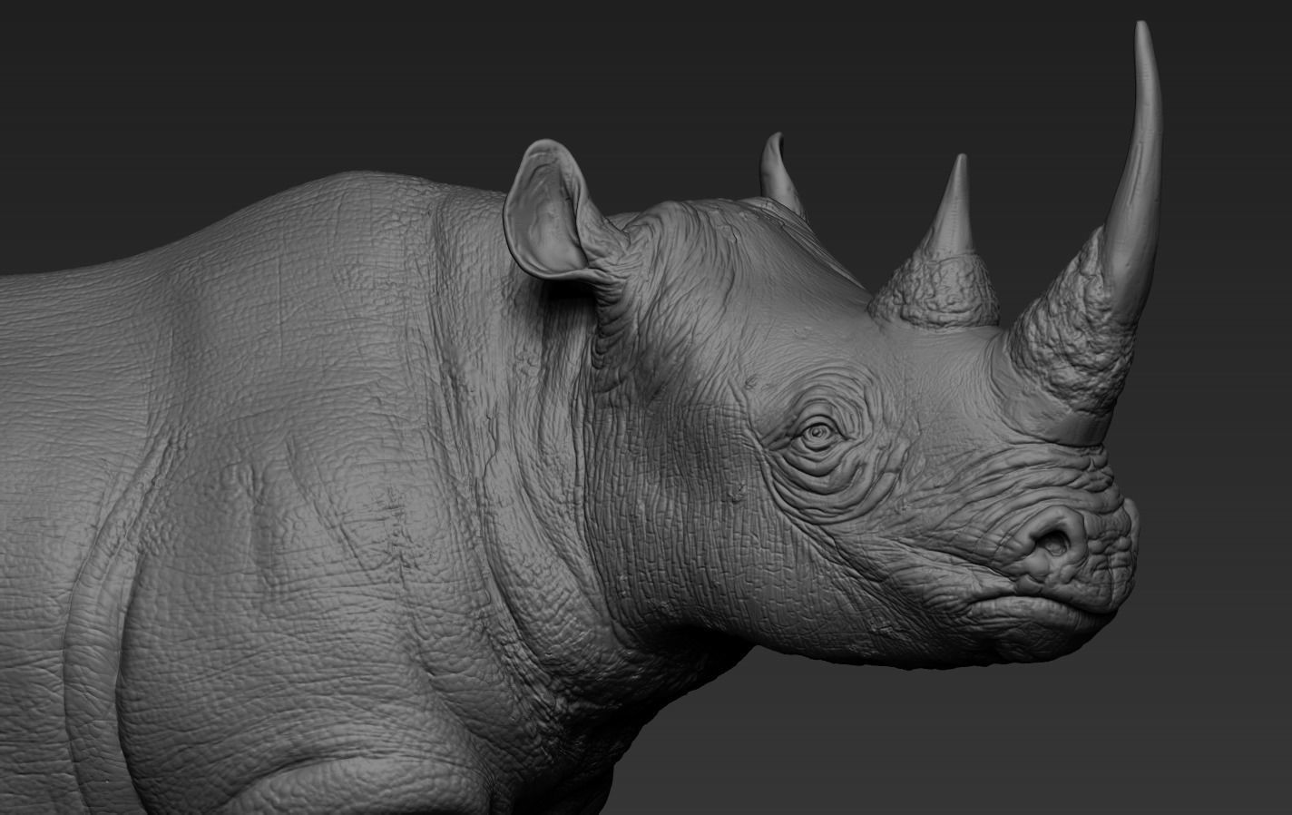 Rhino 3D print model_20