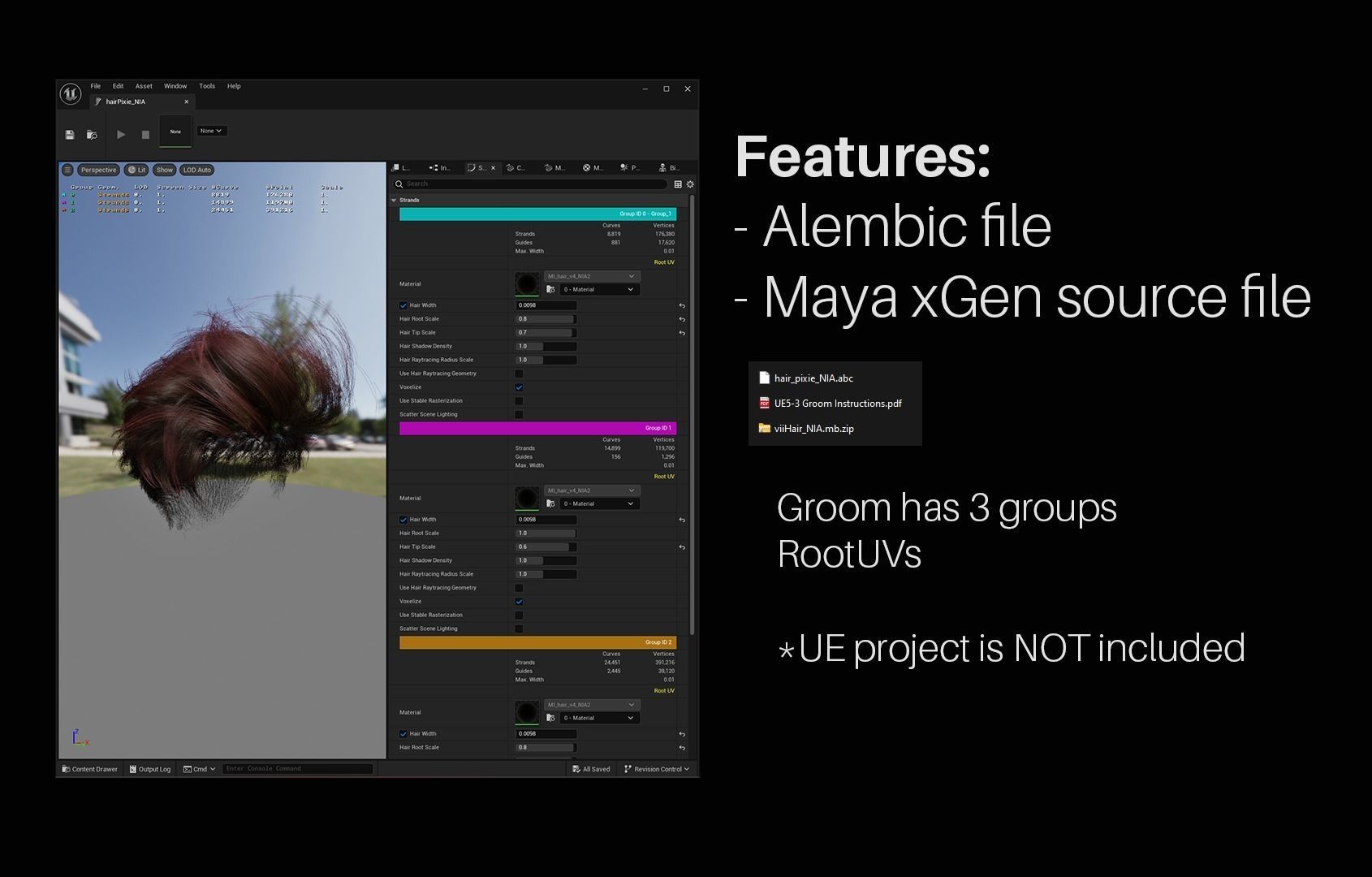 Hair for Metahumans Alembic Hair Asset for UnrealEngine5 Low-poly 3D model_2
