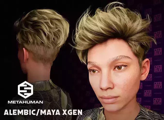 Hair for Metahumans Alembic Hair Asset for UnrealEngine5