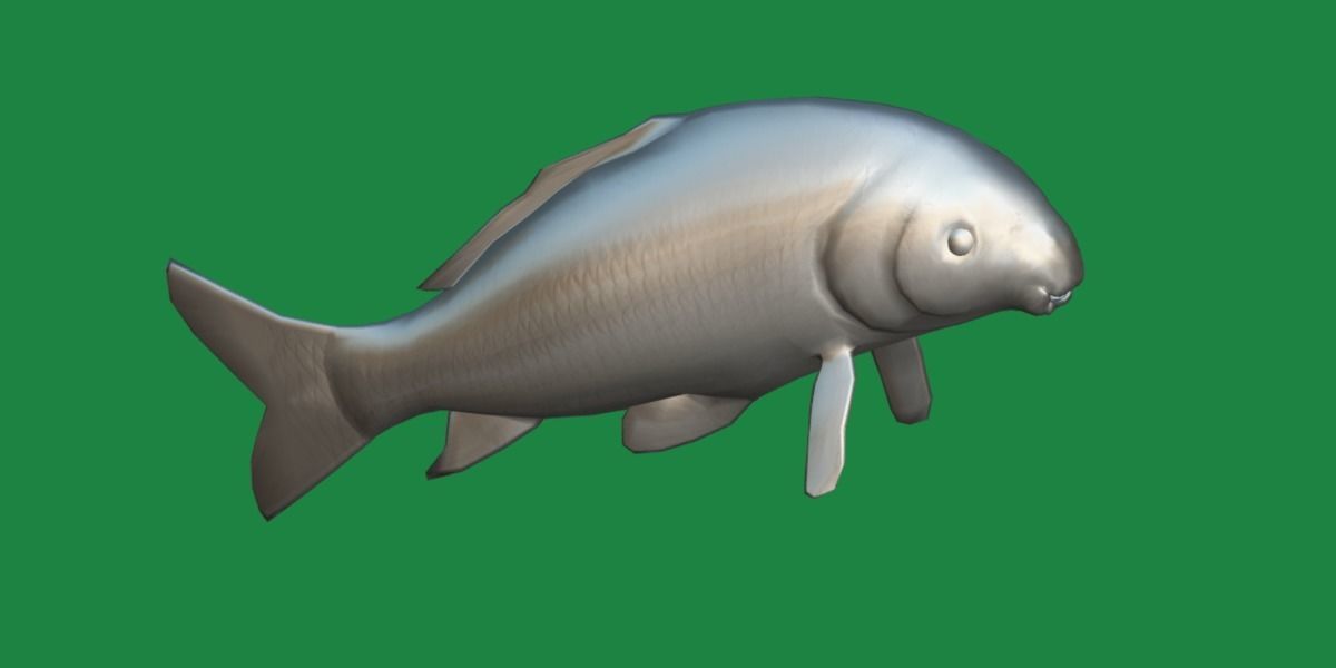 Black Buffalo Fish Low-poly 3D model_12