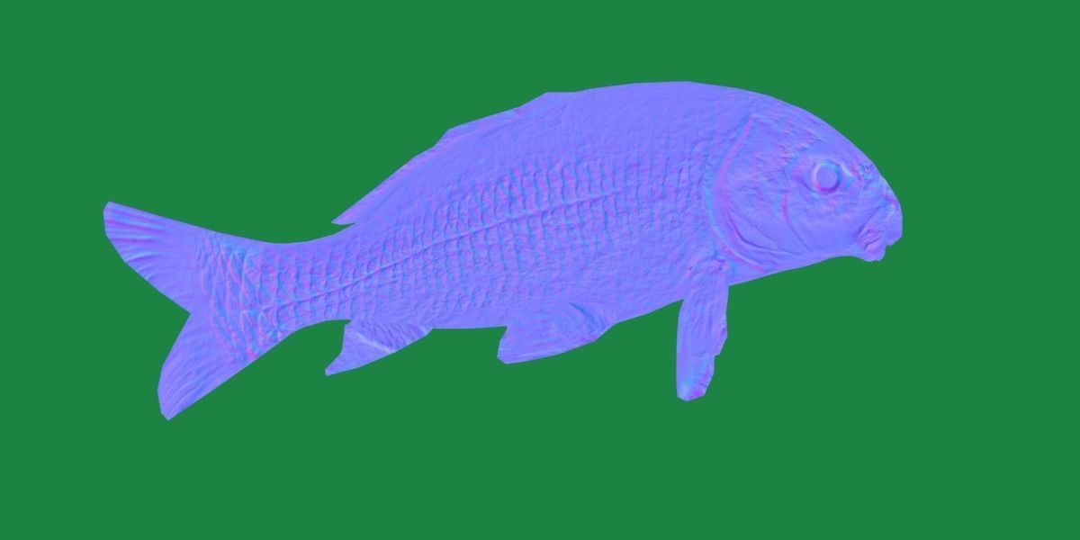 Black Buffalo Fish Low-poly 3D model_27